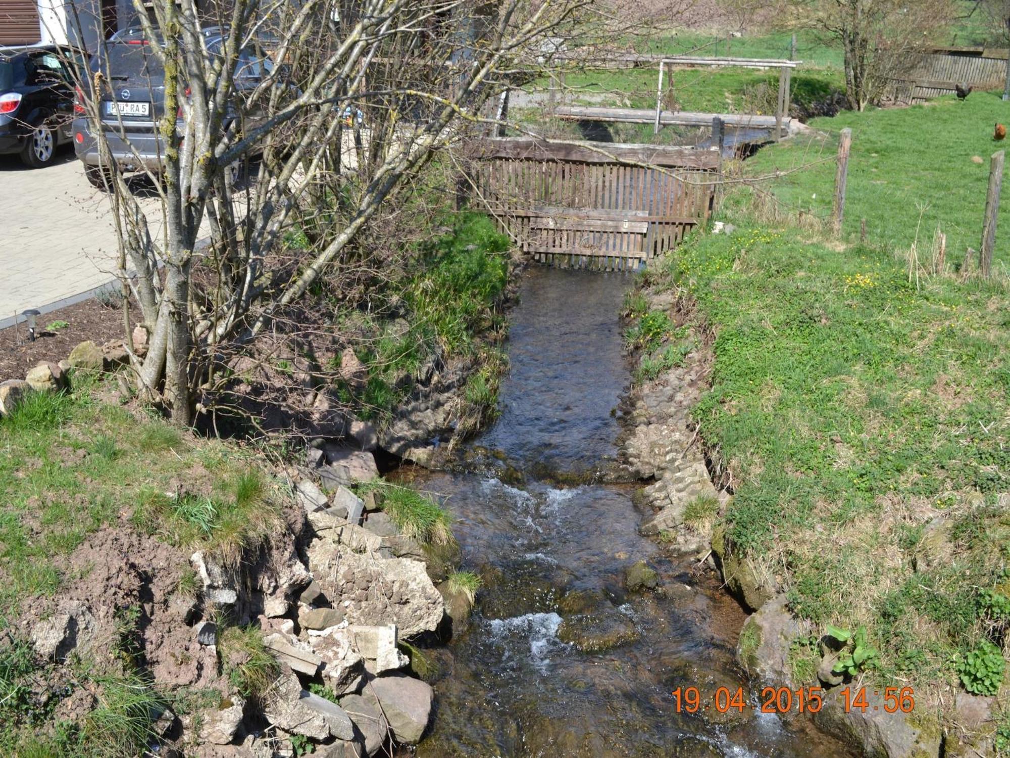 Quiet Apartment Along A Stream In Halenfeld Sellerich Esterno foto